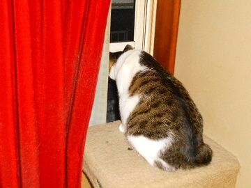 10月23日（81）仮