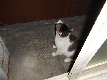 9月23日（22-21）仮