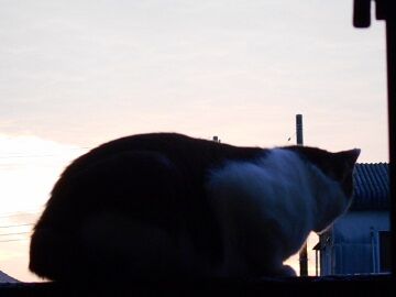 10月2日（15）仮