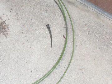 9月30日（47）仮