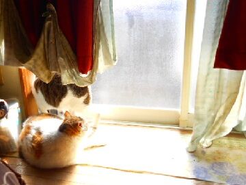 4月10日（13）仮