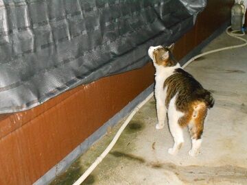 5月10日（70）仮