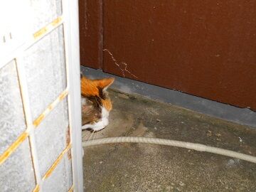 12月8日（59）仮