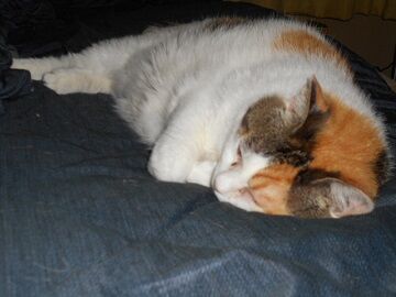 6月24日（11）仮