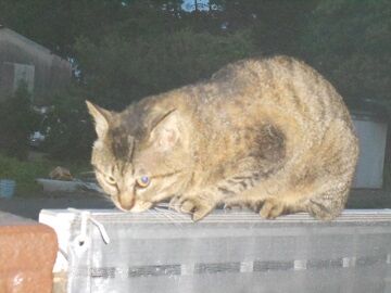 5月10日（54）仮