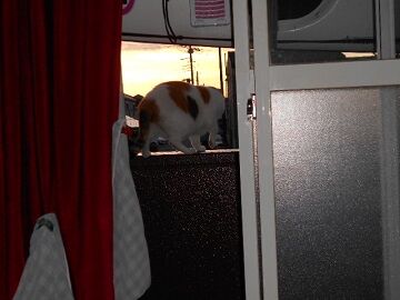 9月17日（5-12）仮