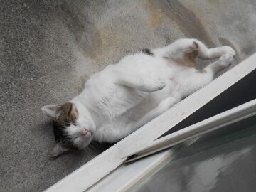 9月25日（12-5）仮