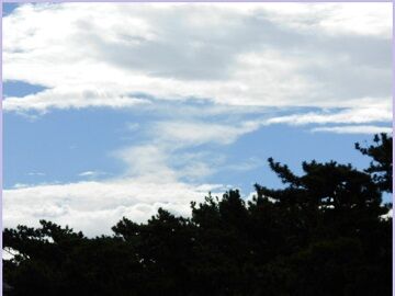 9月16日（31）仮