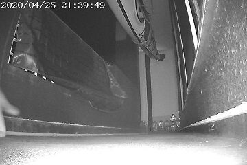 4月25日（29）仮