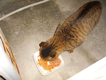 12月8日（29）仮