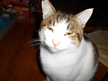 12月22日（34）仮