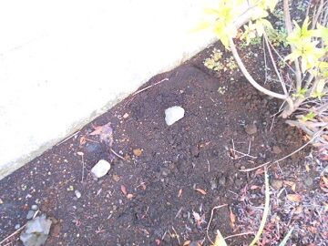 11月16日（34）使用