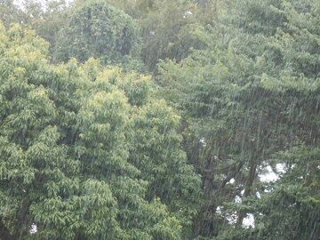 9月7日（11-2）仮