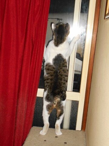 9月4日（103）仮