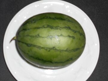 8月21日（38）仮