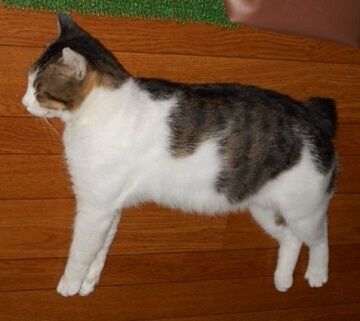 8月29日（28）仮