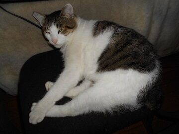 9月24日（7-4）仮