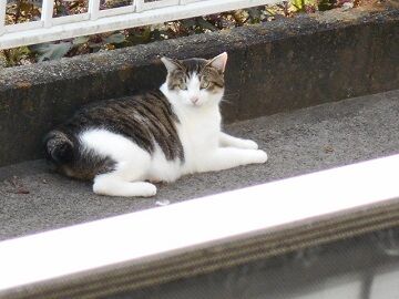 9月30日（40）仮