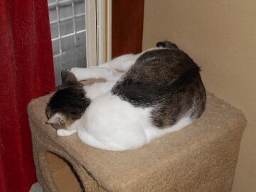 7月19日（39）仮