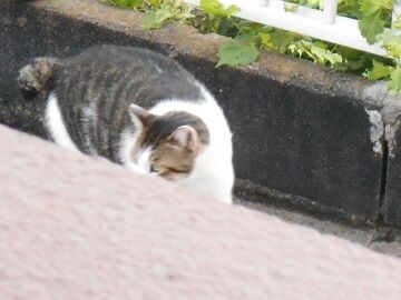 9月20日（7-5）仮