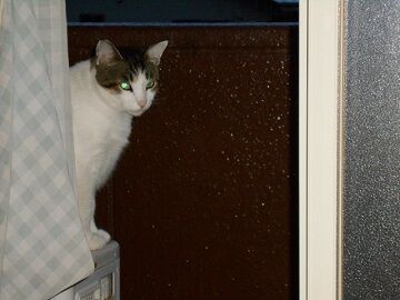 9月23日（5-6）仮