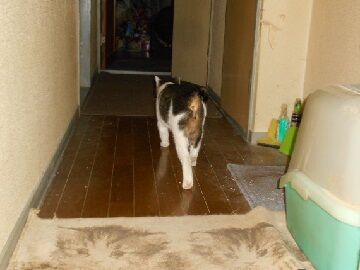 9月24日（19-1）仮