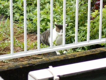 8月28日（102）仮