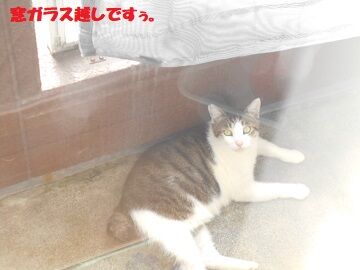 9月13日（7-3）仮