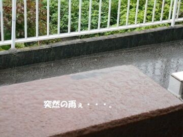 9月3日（7-2）仮