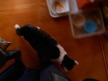 11月30日（19）仮