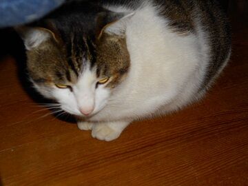 12月13日（45）仮