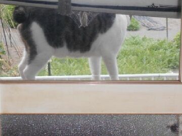 7月30日（14）仮