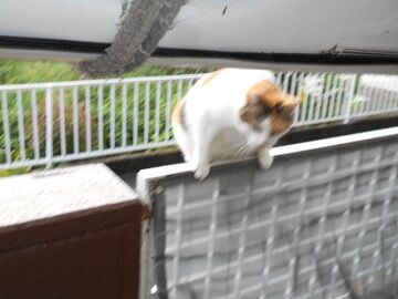 9月14日（6-13）仮