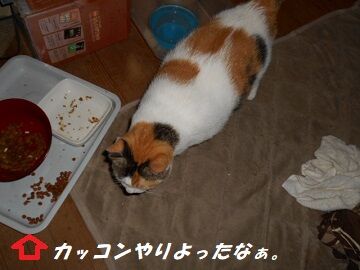 10月1日（18-2）仮