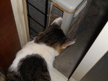 9月21日（3-5）仮