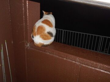 9月23日（2-6）仮