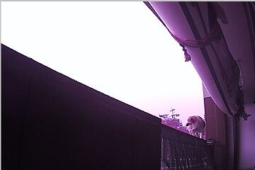 12月30日(19.94)仮