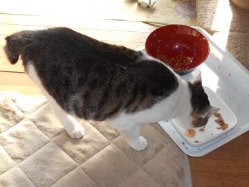 10月3日（7-10）仮