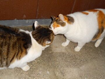 12月8日（57）仮