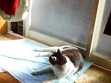 11月19日（5）仮