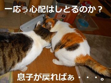 4月15日(40)仮