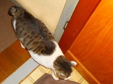 12月8日（18）仮