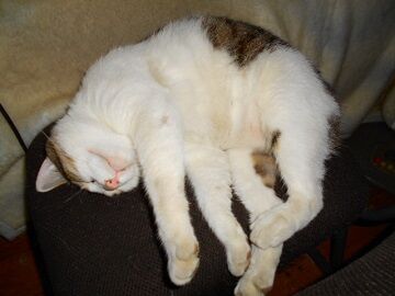 5月31日（22）仮