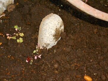 11月19日（10）仮