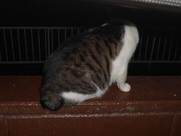 7月30日（47）仮