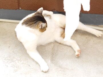 5月28日（29）仮