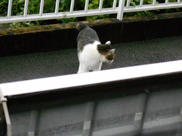 8月28日（122）仮