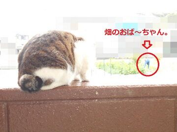 4月24日(30)仮