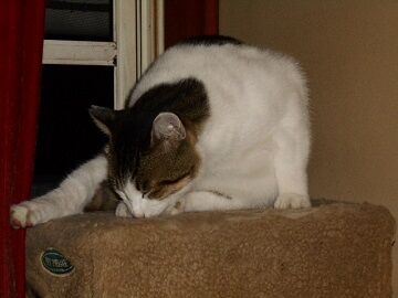 9月27日（19-3）仮