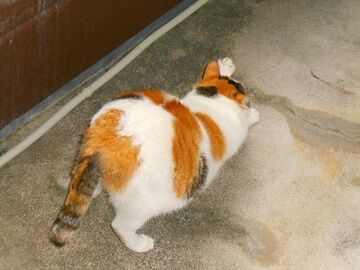 11月22日（12）仮